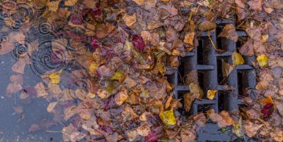Remove Debris and Sediment from the Drainage System!
